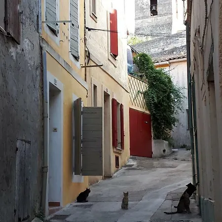 Un Tour En Arles